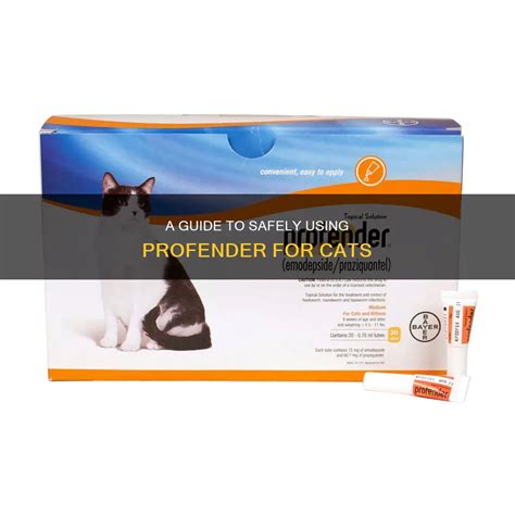 profender for cats how long